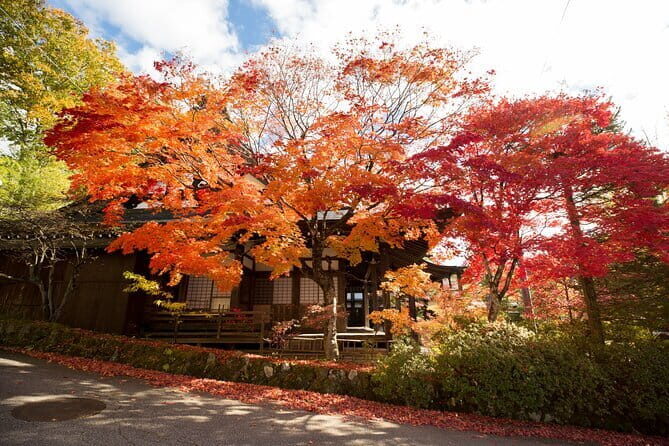 Half Day Walking Tour Takayama’s Hidden Gems and Temple Walk - Key Highlights You Should Know