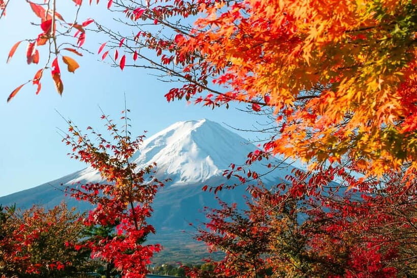 Halfway Up Mt,Fuji, Oshino Hakkai, Kawaguchiko from Tokyo - Lunch and craft time at Lake Kawaguchi (Kawaguchiko Craft Park)