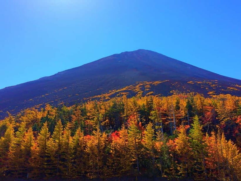 Halfway Up Mt,Fuji, Oshino Hakkai, Kawaguchiko from Tokyo - Oshino Hakkai ponds: snowmelt calm with a shopping layer