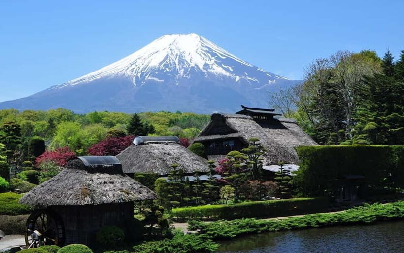 Halfway Up Mt,Fuji, Oshino Hakkai, Kawaguchiko from Tokyo - Who this tour suits (and who should skip it)