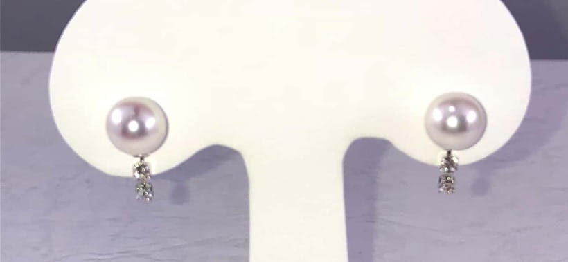 Hands-on Pearl Harvesting Workshop! - How the Store Time Works: While You Wait, You Browse