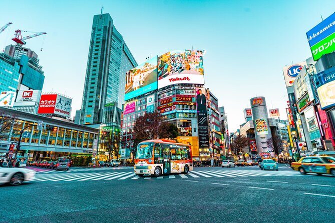 Haneda Airport: One Way Private Transfer to Tokyo|Yokohama Hotels - Who this transfer is best for (and who should consider alternatives)