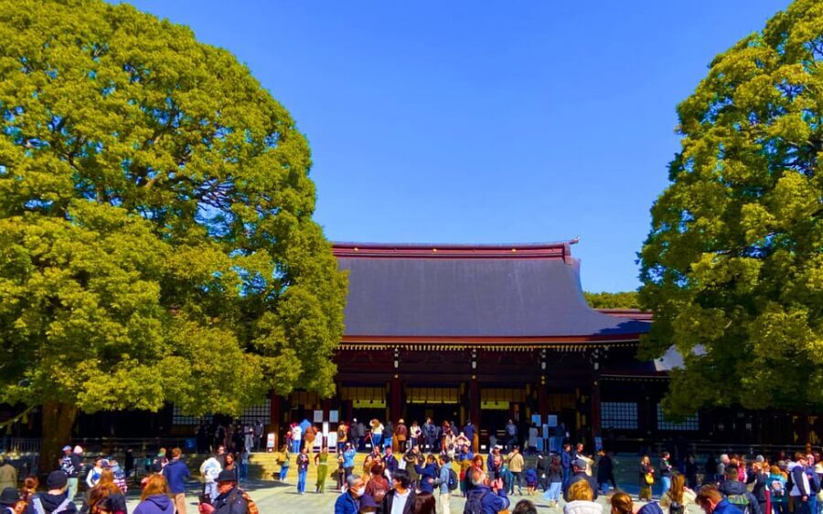 Harajuku : Blend of Tradition & Pop Culture for Family Tour - Meiji Shrine Worship Walk: What You’re Supposed to Do (and Why It Matters)