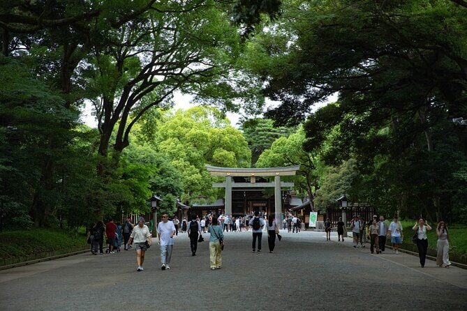 Harajuku Meiji Shrine Walking Tour in Tokyo - Where you meet and where you finish (so your day stays simple)