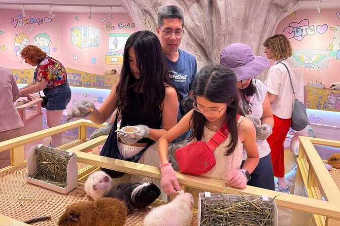 Harajuku Private Tour: Kawaii Fashion & Animal Cafe Included - Totti Candy Factory: the photo stop that tastes as good as it looks