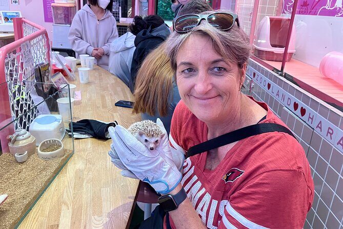 Harajuku Private Tour: Kawaii Fashion & Animal Cafe Included - Owl-café energy and how route changes can affect the animals you see