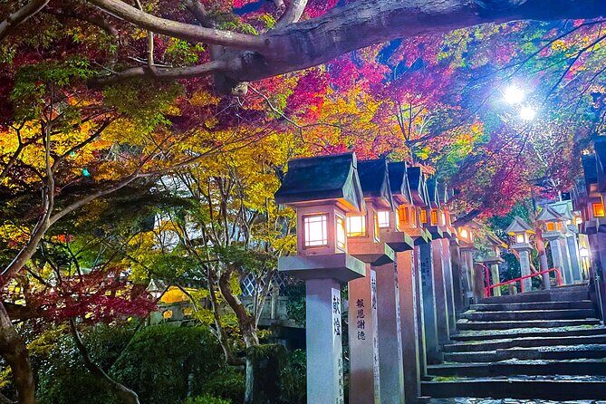 Hidden Gems of Osaka Kyoto Nara - Private Car Tour by Local Guide - Stop 2: Mitsushima Shrine, a short Shinto pause in nature