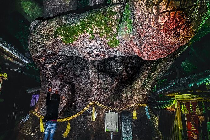 Hidden Gems of Osaka Kyoto Nara - Private Car Tour by Local Guide - Stop 4: Shingisan Chogosonshiji’s night lantern paths