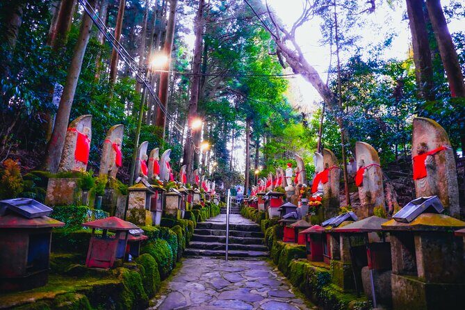 Hidden Gems of Osaka Kyoto Nara - Private Car Tour by Local Guide - Comfort and movement: what your body should expect