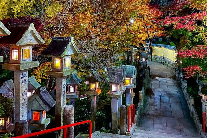 Hidden Gems of Osaka Kyoto Nara - Private Car Tour by Local Guide - Price and value: when $248.22 per group makes sense