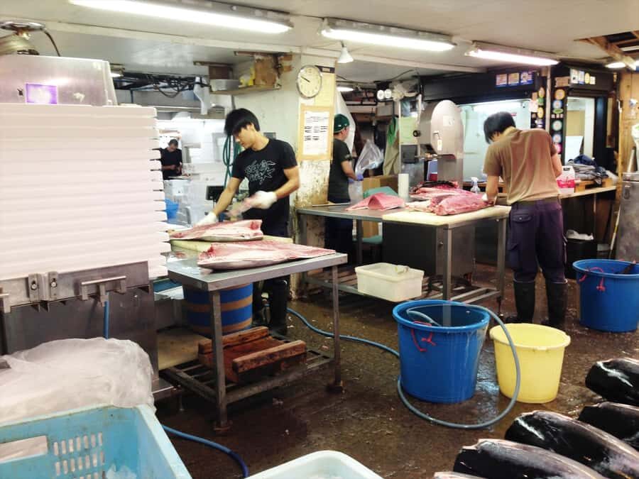 Highlights of Tokyo Private Tour with a Licensed Guide - A 6-hour Tokyo hits plan that actually works