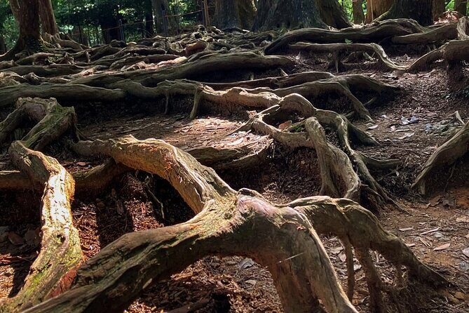 Hike and explore the Kurama and Kibune ancient Paths - Pace, fitness, and weather: what “moderate” really means on stairs