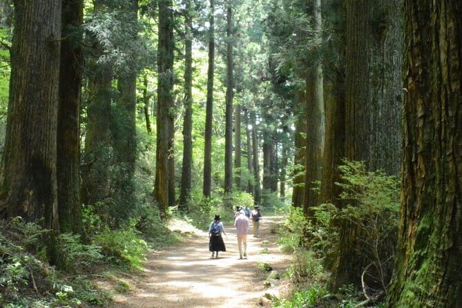Hike Hakone Hachiri - Getting to Mishima for an 8:30 start that pays off