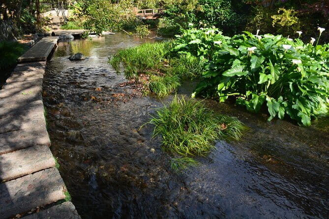 Hike Hakone Hachiri - Mishima finish and the Genbegawa World Water Heritage Area