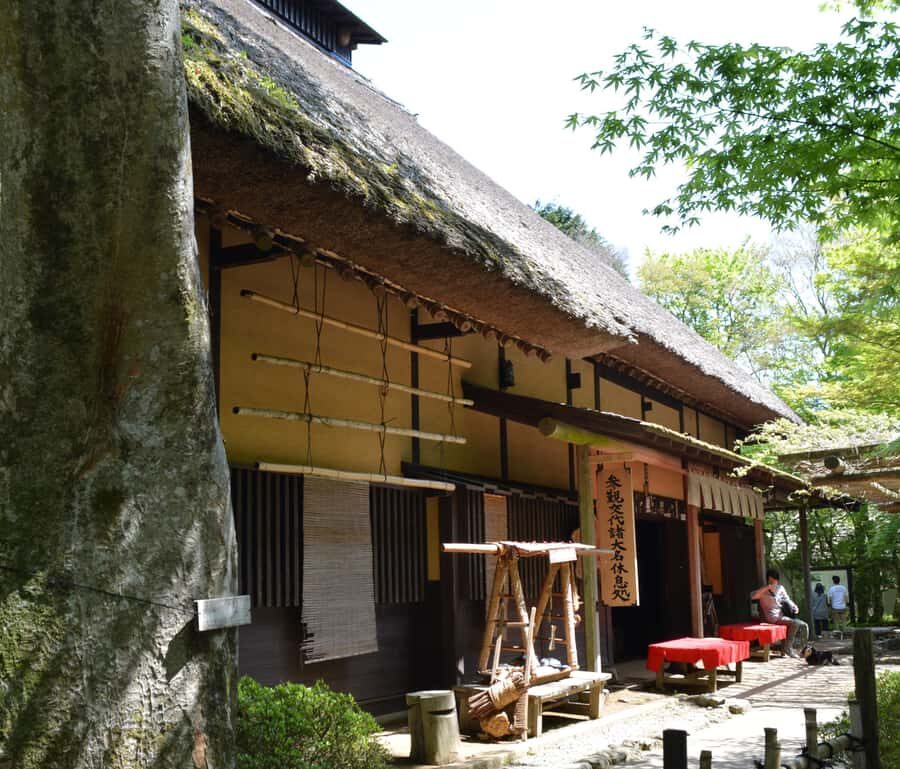 Hike Hakone Hachiri Japan Heritage Area - How hard is it, what to pack, and how to plan your day
