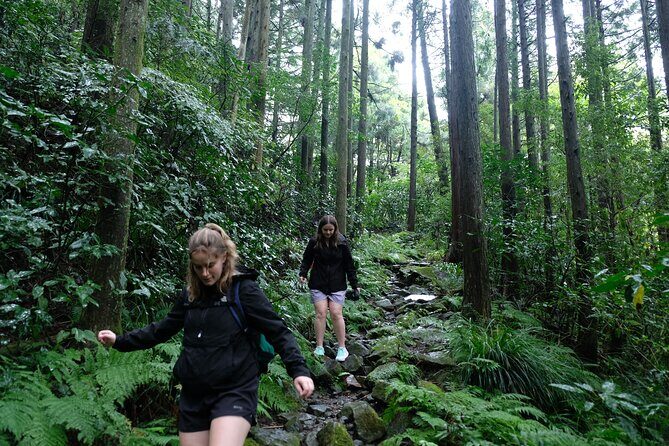 Hike Japan Heritage Hakone Hachiri (Half Day) - Key points you’ll feel on the Hakone Hachiri trail