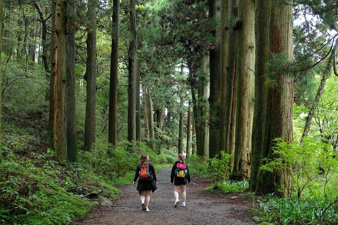 Hike Japan Heritage Hakone Hachiri (Half Day) - Starting at Hakone-Yumoto and skipping the hardest section by bus