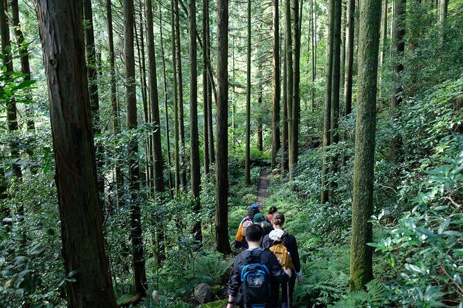 Hike Japan Heritage Hakone Hachiri (Half Day) - The Hakone checkpoint: turning a route into a lesson