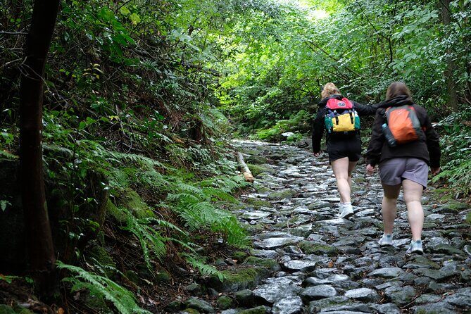 Hike Japan Heritage Hakone Hachiri (Half Day) - Price and logistics: is $114.95 worth it?