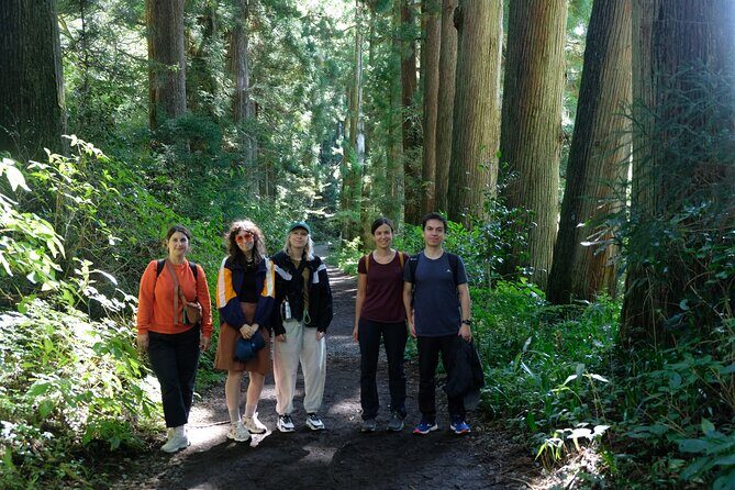Hike Japan Heritage Hakone Hachiri (Half Day) - Pace and fitness: who this hike suits