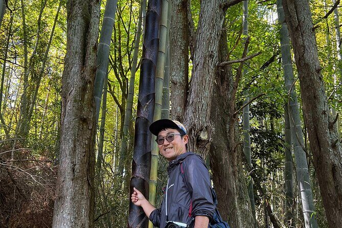 Hike Japan Heritage Hakone Hachiri with certified mountain guide - Wood-Crafts to Lake Ashi: A Route That Feels Like Edo-Day Traveling