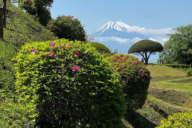 Hike Japan Heritage Hakone Hachiri with certified mountain guide - Lunch in Hakone-machi: Fuel Between Hiking Legs