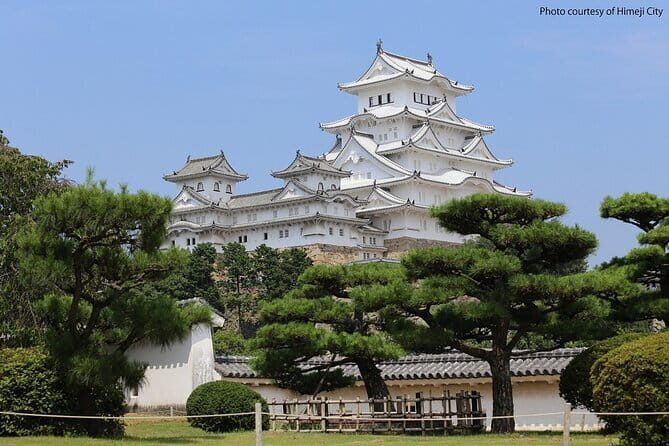 Himeji Castle and Akashi Kaikyo Bridge Walking Tour from Osaka - Key points you should know before you go