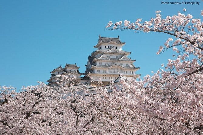 Himeji Castle and Akashi Kaikyo Bridge Walking Tour from Osaka - Price and value: what you’re paying for