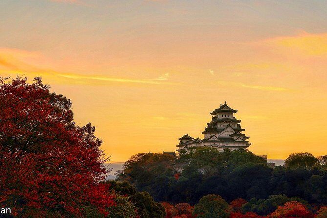 Himeji Half-Day Private Tour with Government-Licensed Guide - A private guide turns Himeji into more than castle photos