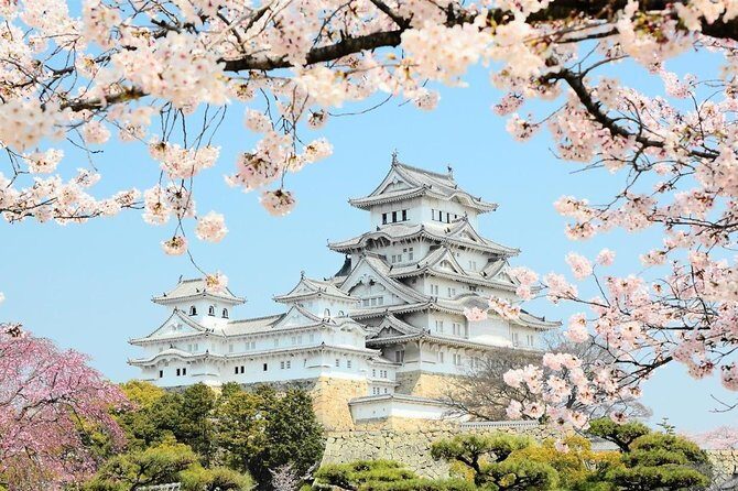 Himeji Half-Day Private Tour with Government-Licensed Guide - Himeji Castle: the main event, the stairs, and the shoe rules