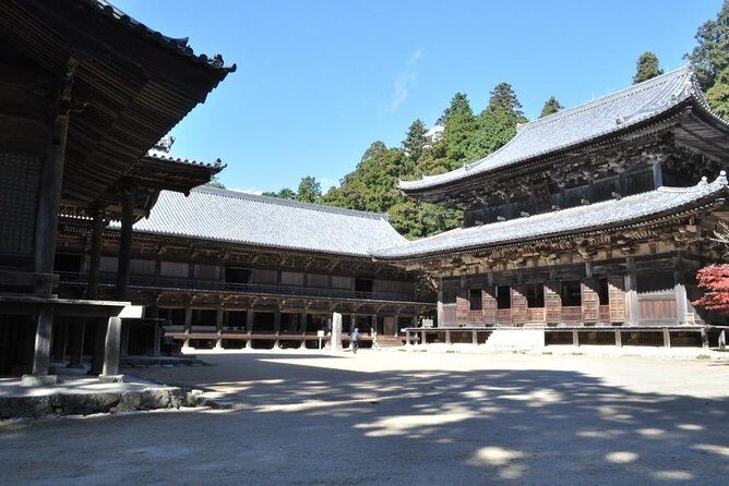 Himeji Half-Day Private Tour with Government-Licensed Guide - Engyō-ji on Mt. Shosha: classic temple views, real scheduling risk