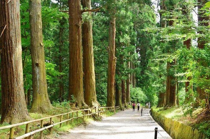 Hiraizumi Half-Day Private Trip with Government-Licensed Guide - Hakusan Shrine and the outdoor Noh stage: a creative side of Hiraizumi