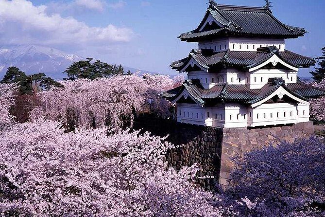 Hirosaki 6hr Private Tour with Government-Licensed Guide - Key highlights worth planning around