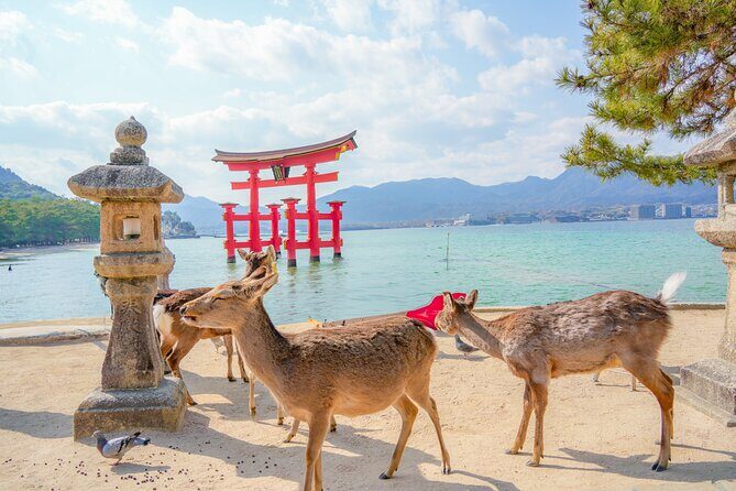 Hiroshima and Miyajima Full-Day Tour from Kyoto by Bullet Train - Hiroshima Station transfer and the shift to a more reflective day