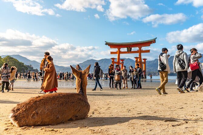 Hiroshima and Miyajima Full-Day Tour from Kyoto by Bullet Train - First steps on Miyajima: the floating torii view and Itsukushima Shrine area