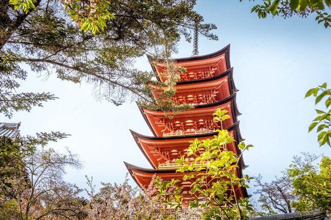 Hiroshima and Miyajima Private Tour with English Speaking Driver - Itsukushima Shrine: the floating torii experience (and what to watch for)