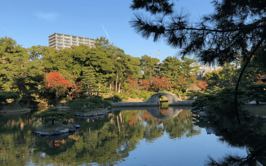 Hiroshima: Best of Hiroshima Guided Bike Tour - The Ride Itself: Flat, Relaxed Cycling That Still Feels Like Hiroshima