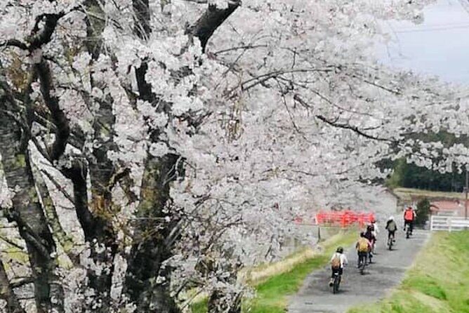 Hiroshima Country Cycling: Explore Rural Life 1 HR from City - Lunch at Ainosato Herb Garden: vegetables, edible flowers, and winter sushi