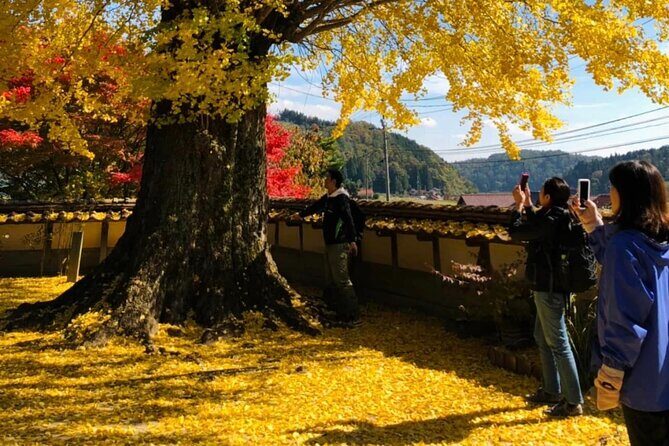 Hiroshima Country Cycling: Explore Rural Life 1 HR from City - Stop 4: Oasa main street—old buildings, quieter life