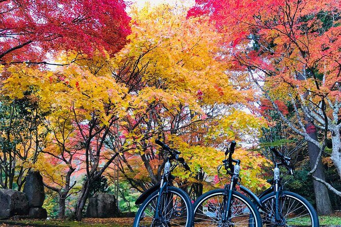 Hiroshima Country Cycling: Explore Rural Life 1 HR from City - Hitting the countryside from Oasa: how the route plays out