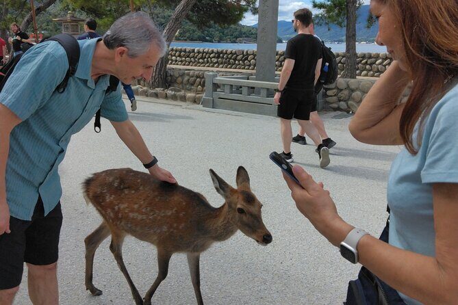 Hiroshima Cruise Pickup : Miyajima & Peace Park Tour with car - Who this tour fits best