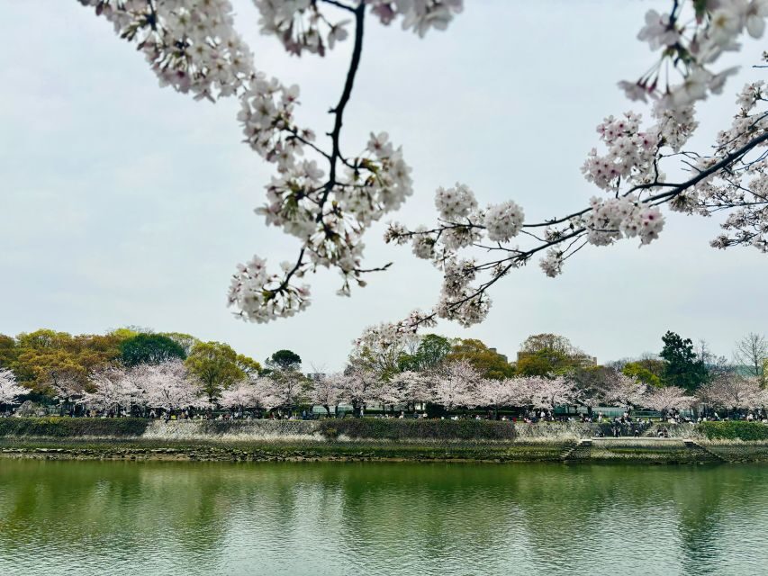 Hiroshima: History of Hiroshima Group Walking Tour - Key highlights worth your time