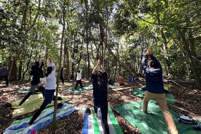 Hiroshima Local guided Hiking Tour&Open-air Tea Ceremony - Why this early-morning Mt. Futaba hike makes sense in Hiroshima