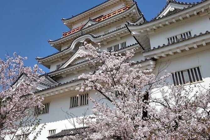 Hiroshima Luxurious Private Tour with English Guide - Miyajima’s Itsukushima Shrine: the view, the timing, the vibe