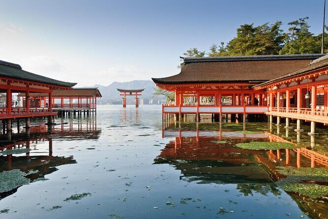 Hiroshima & Miyajima 1 Day Bus Tour with Bullet Train Tickets - What This Tour Really Includes (and Why It’s Worth Your Attention)