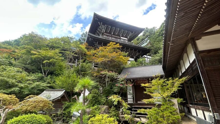 Hiroshima & Miyajima 6.5h Guided Tour – Dome, Park & Shrine - Back to Hiroshima: Atomic Bomb Dome photo stop to Peace Park walk