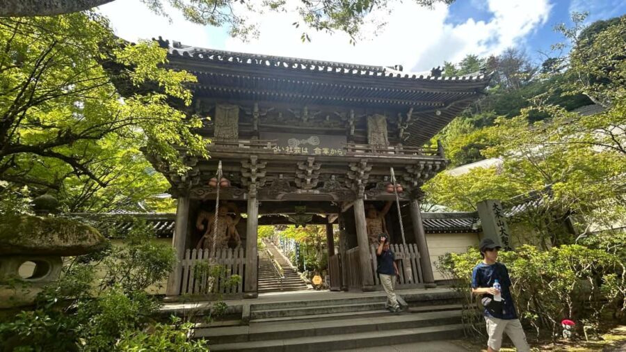 Hiroshima & Miyajima 6.5h Guided Tour – Dome, Park & Shrine - Practical tips that will make the day feel easier