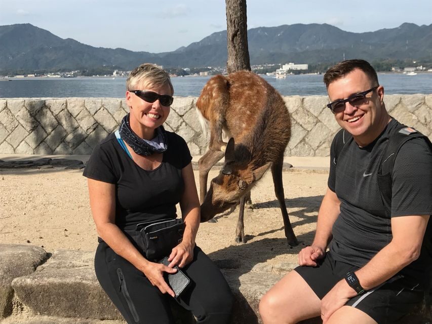 Hiroshima & Miyajima: Full-Day Private Tour & Licensed Guide - Transportation, taxis, and why a guide can save you stress