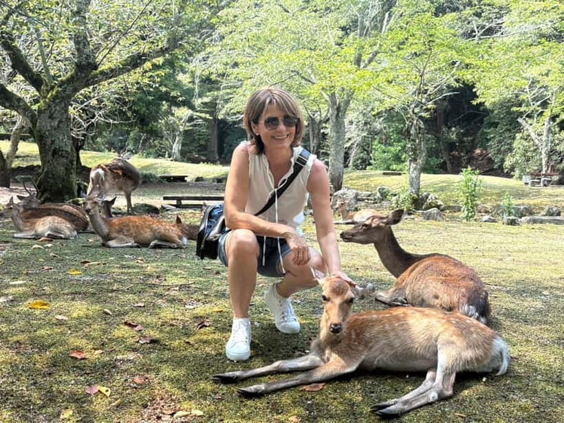 Hiroshima: Miyajima Island Half-Day Tour with Guide - Omotesando shopping street: where Miyajima gets delicious