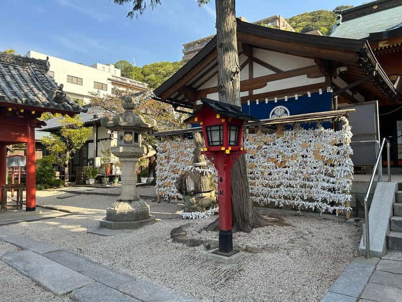 Hiroshima: Morning Hiking Tour with Open-air Tea Ceremony - Forest Bathing Activity: What It Means Here (Sensory Calm, Not a Swim)